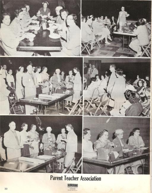 monroetigers031.jpg